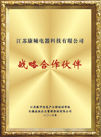 战略合作伙伴